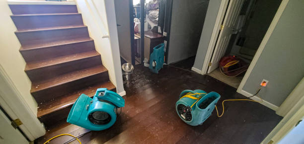 Best Carpet water damage restoration  in Wolf Creek, UT