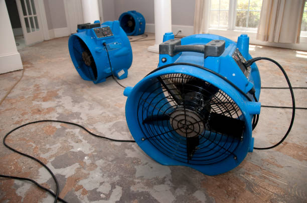 Best Commercial water damage restoration  in Wolf Creek, UT