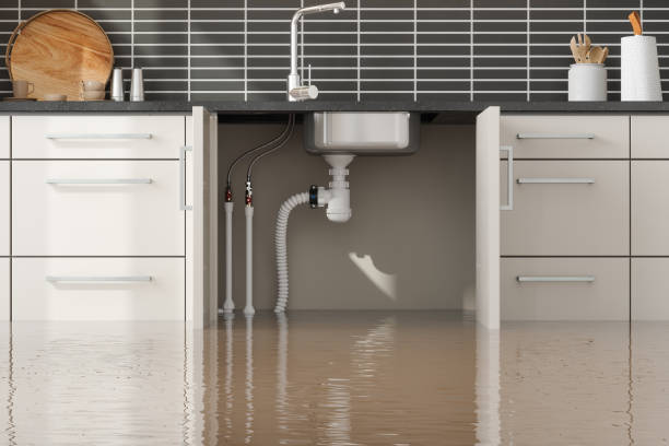 Best Local water damage restoration  in Wolf Creek, UT