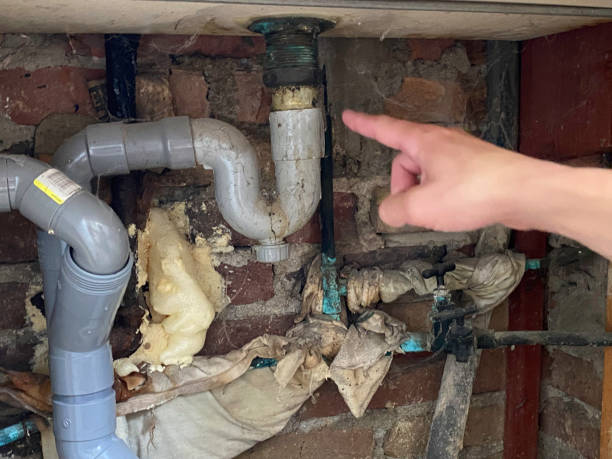 Best Water damage restoration near me  in Wolf Creek, UT