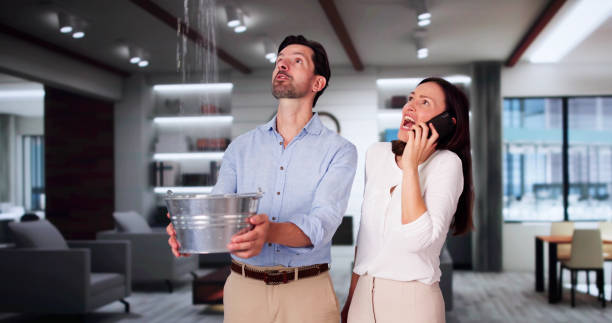 Best Water damage mitigation services  in Wolf Creek, UT
