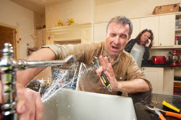 Best Ceiling water damage repair  in Wolf Creek, UT